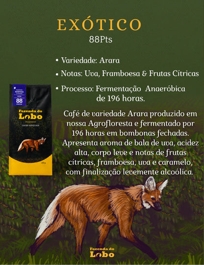 Café Especial Exótico +88 Pts Fazenda Do Lobo 250g Sul De Minas Gerais