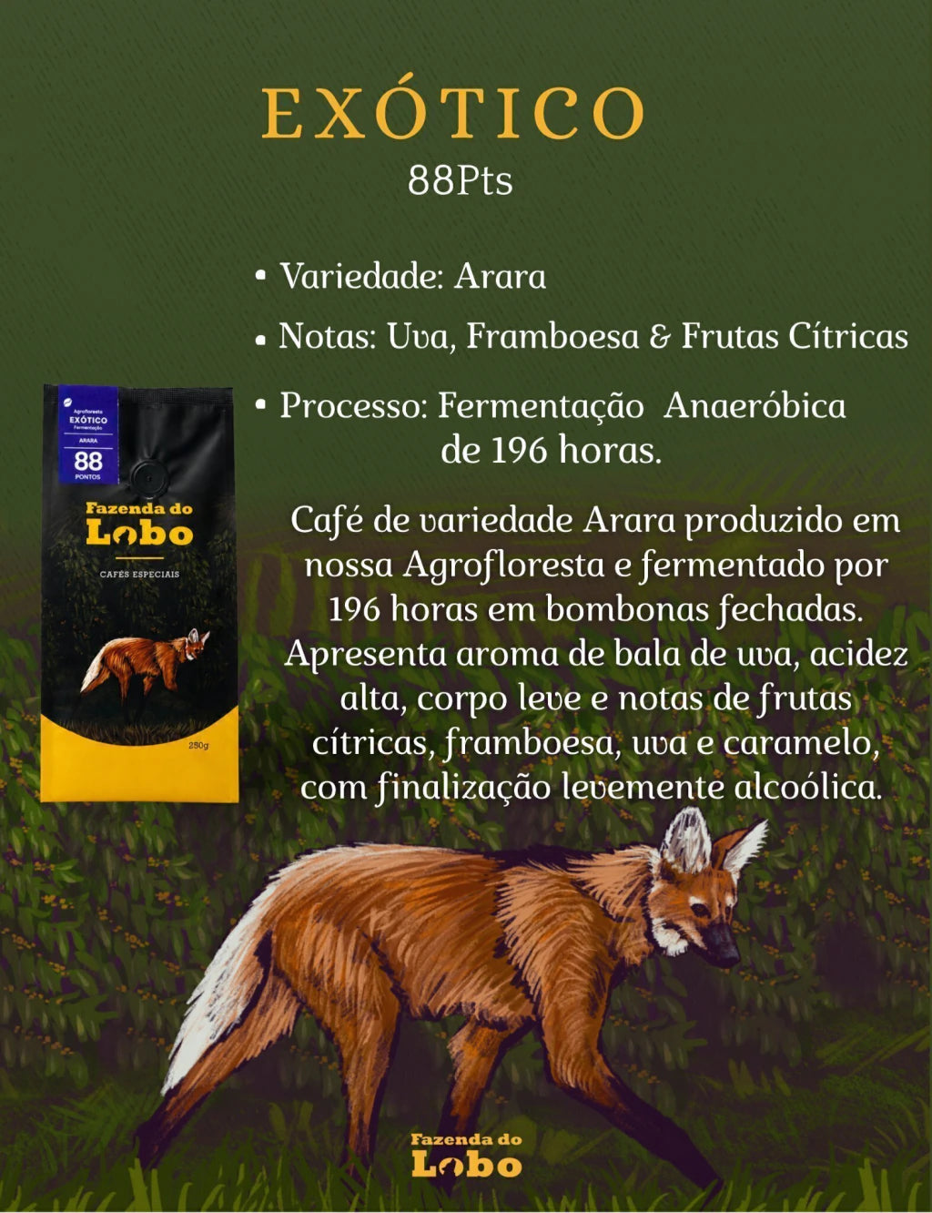 Café Especial Exótico +88 Pts Fazenda Do Lobo 500g Sul De Minas Gerais